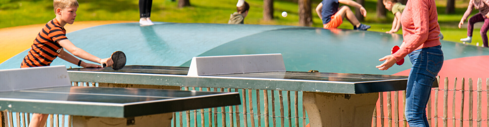 Pingpongtafel